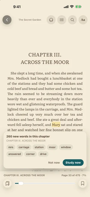 TeakReader card listing the new words in a chapter before you read it.